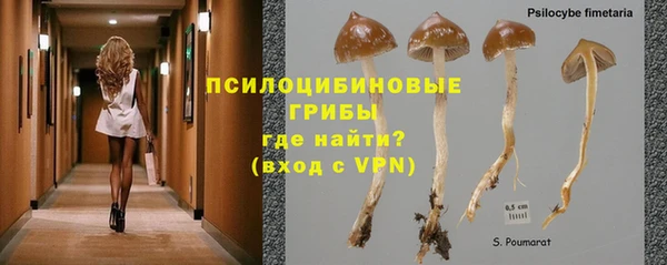 а пвп мука Армянск