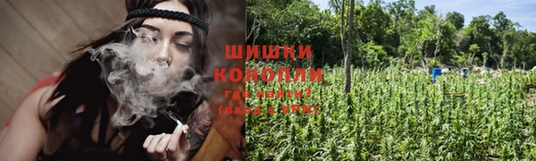 бошки Аркадак