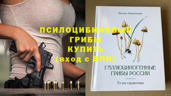 mdpv Арсеньев